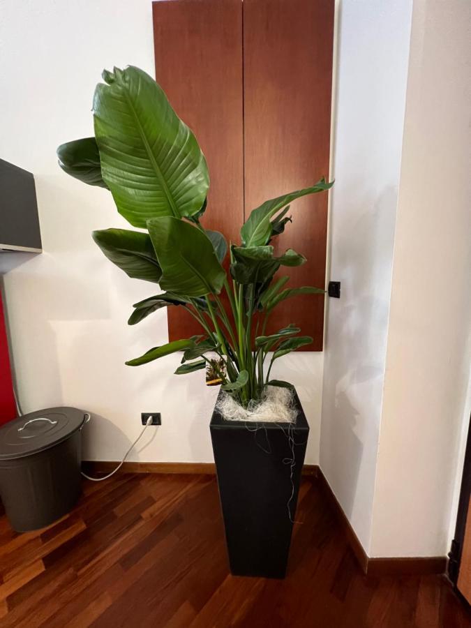 Effealatapartments - Appartamento Del Duca سينِغاليا المظهر الخارجي الصورة