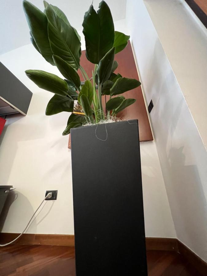 Effealatapartments - Appartamento Del Duca سينِغاليا المظهر الخارجي الصورة